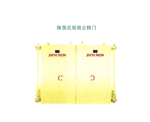 上海降落式双扇立转门